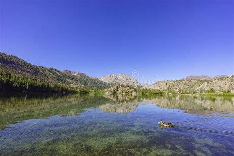 The Beautiful Gull Lake Stock Image Image Of United 75648543
