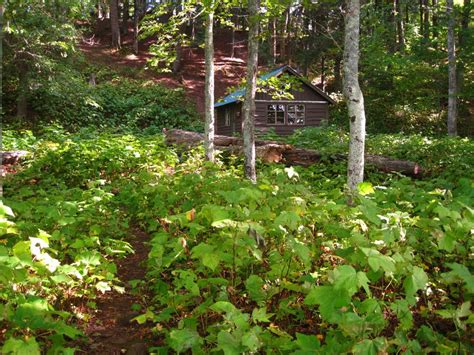 Films en vf ou vostfr et bien sûr en hd. Black Coffee at Sunrise: Porcupine Mountains | Day Five