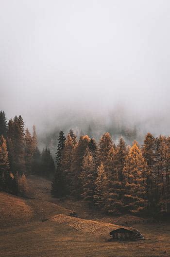 Nature Landscapes Trees Forest Mountains Clouds Fog Mist Sky Clouds