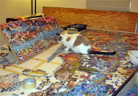 Never actually assembled a 3d puzzle, not that i ever had much interest in them but would be a different thing to try out. The first quadriplegic to complete The World's Largest ...