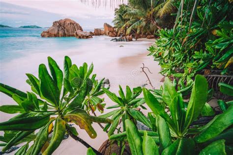 La Digue Island Seychelles Beautiful Tropical Sandy Beach With Exotic