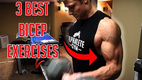 Bigger Biceps Fast 3 Easy Exercises To Build Your Biceps Youtube