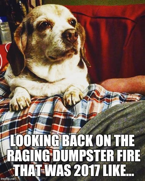 Image Tagged In 2017dogsdumpster Firenew Years Evehappy New Year Imgflip