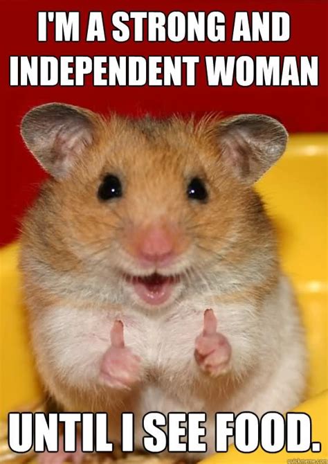 Hamster Meme Photo