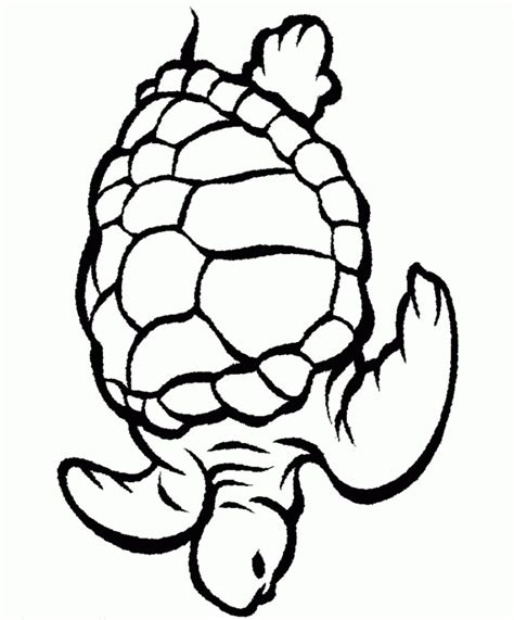Search through 623,989 free printable colorings at getcolorings. Aquarium Drawing For Kid | Free download on ClipArtMag