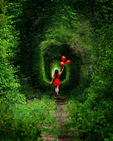 อุโมงค์แห่งความรัก Tunnel Of Love ประเทศยูเครน สวยสะกดใจเหมือนอยู่ใน