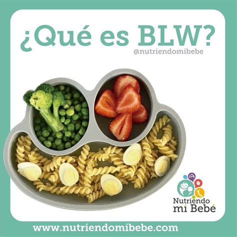 Qu Es Blw Baby Led Weaning Alimentaci N Complementaria Y Blw