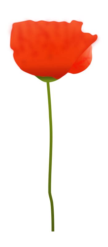 Poppy Flower Openclipart