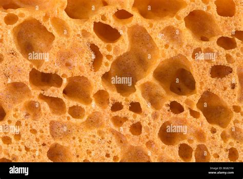 Orange Sponge With Hole Texture Stock Photo Alamy
