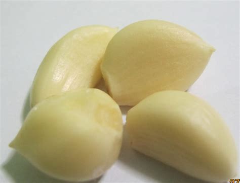 Check spelling or type a new query. Obat sakit gigi tradisional dari cengkeh sampai bawang