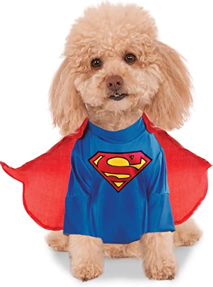 Rubies Costume Co Dc Heroes And Villains Collection Pet Costume Small