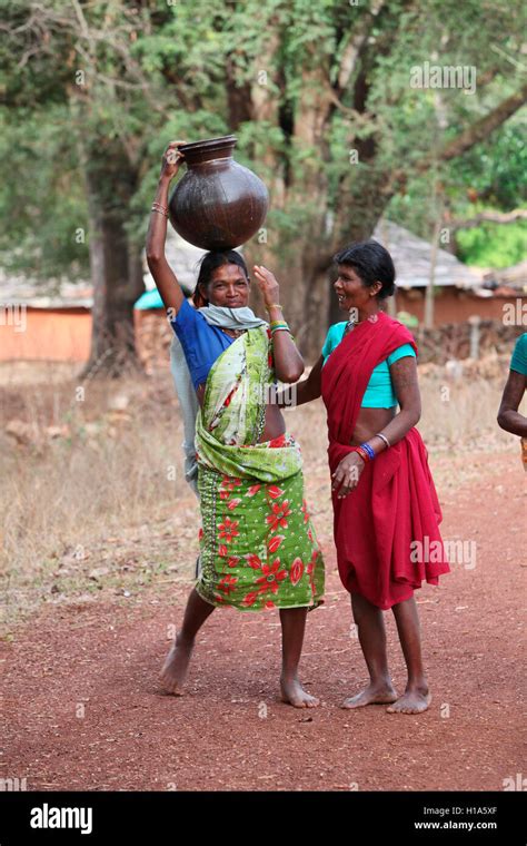 tribal women carrying water pots dhurwa tribe gonchapar village chattisgarh india stock