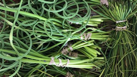 How To Use Garlic Scapes In Your Cooking