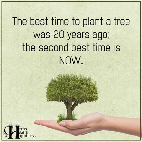 The Best Time To Plant A Tree ø Eminently Quotable Inspiring And