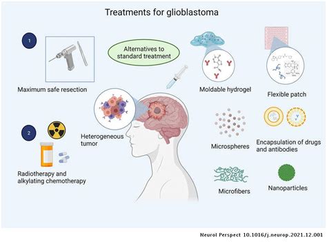 Biomaterials Emerging Systems For Study And Treatment Of Glioblastoma