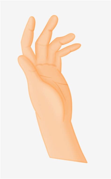 Gestures Clipart Transparent PNG Hd Cartoon Open Gesture Illustration