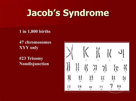 Ppt Karyotypes And Sex Linked Traits Powerpoint Presentation Free Download Id5332789