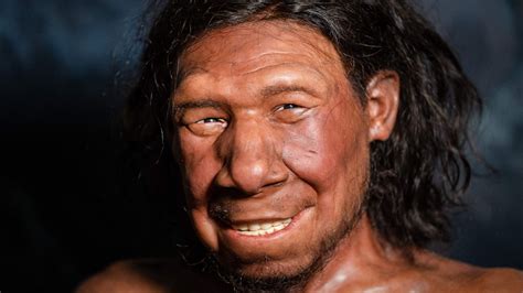 Neanderthals Our Extinct Human Relatives Crumpe