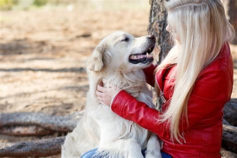 Survey Shows Dog Owners Smooch Pets More Than Their Human Partners