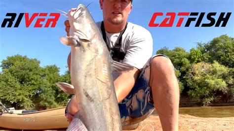 Catfishing River For Huge Catfish Youtube
