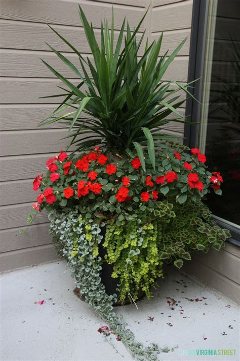 Planting some of these 25 summer blooming plants around your home will give your garden easy care and vibrant color all summer long. Pin on Gardening and Yard