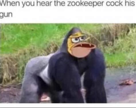 When You Hear The Zookeeper C His Gun Harambe The Gorilla Know