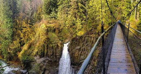 Hike Drift Creek Falls Trail Explore Lincoln City