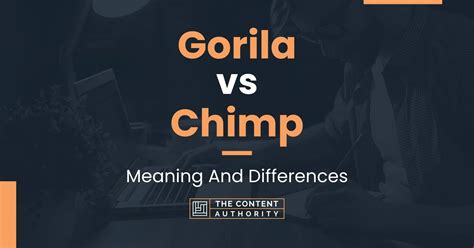 Gorila vs Chimp: Meaning And Differences