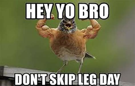 Funny Skip Leg Day Meme Azami Nettles Flickr