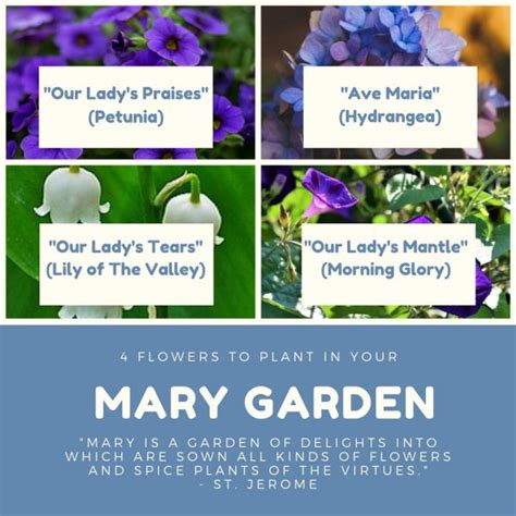 What Flowers To Include In Your Mary Garden Catholic Link
