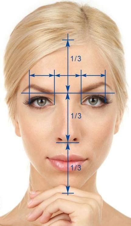 Drawing Faces Proportions Golden Ratio 51 Ideas Face Proportions Human Body Art Beauty