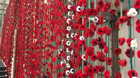 Image Result For Knitted Poppy Installations Yorkshire Remembrance Day Poppy Remembrance Day