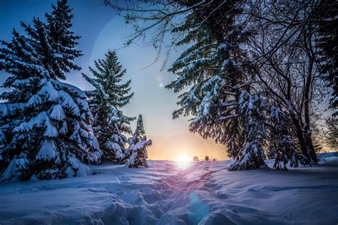 Download Wallpaper 6000x4000 Winter Snow Sunlight Path