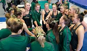 Gymnasts Visit Mpsf Rivals For 39 Preview 39 Meets