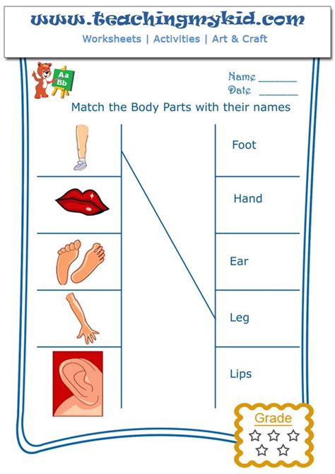 Our content is free and easy to download and use. Free worksheets - Match the body parts with their names - 2