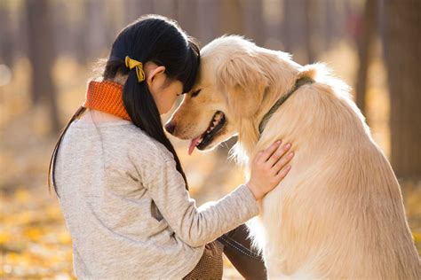 Why do dogs love their owners so passionately? - Samachar Live