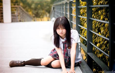 Japan School Wallpapers Top Free Japan School Backgrounds Wallpaperaccess