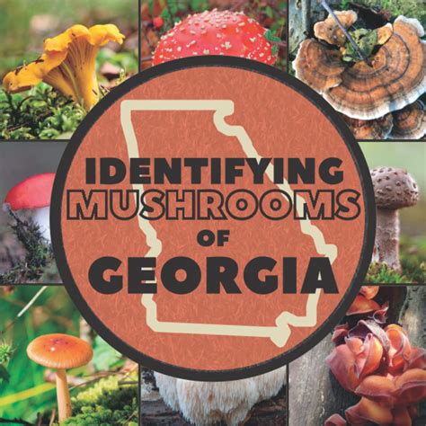Buy Identifying Mushrooms Of Georgia A Simple Identification Guide