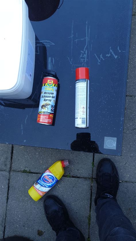 Duizenden muizen vallen silo's aan, schuren en huizen en vervuilen gewassen. Schildwacht Ongediertebestrijders - Home | Facebook