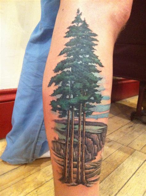 1000 Images About Redwood Tree Tattoos And Drawings On Pinterest
