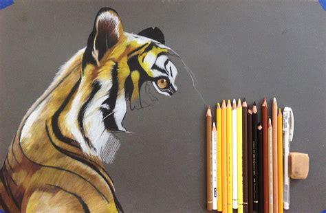 More Prismacolour Faber Castell Polychromos Work Callum Warren