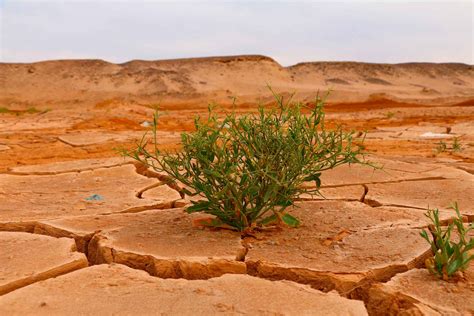 Las causas del cambio climatico se dividen en dos categorías: Escenarios de Cambio Climático - Meteosim