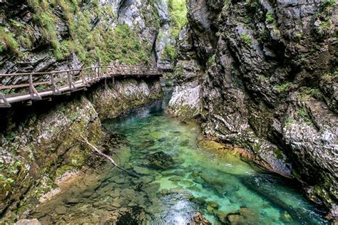 Vintgar Gorge Slovenia Everything You Need To Know Slovenia