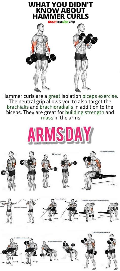 Arm Day Workout Arm Day Workout Arm Workout Men Workout Plan Gym