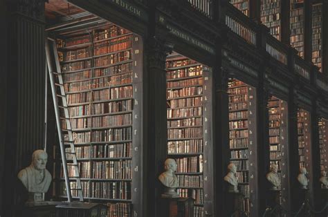10 Gorgeous Dark Academia Libraries Youll Want To Visit Passport To Eden