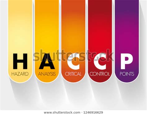 Haccp Hazard Analysis Critical Control Points Stock Vector Royalty