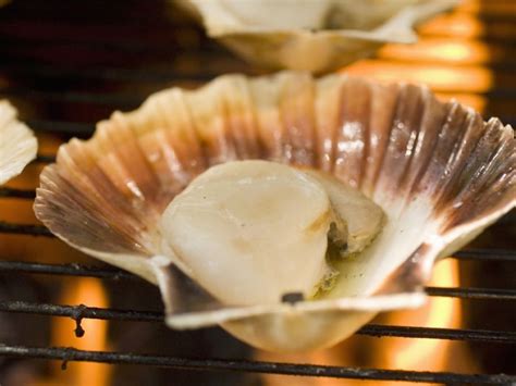 Grilled Scallops On Their Shells Recipe Eatsmarter