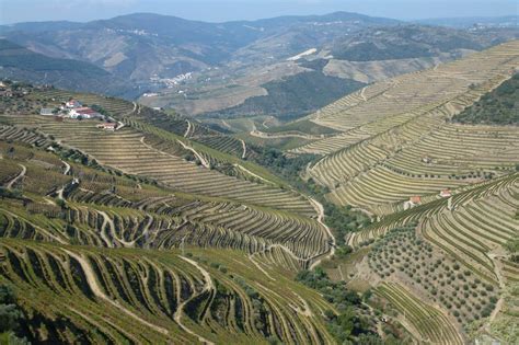 Turismo > empresa de animação turística. Douro :: O PRAZER DA ESTRADA