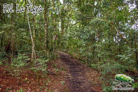 Parque Nacional La Tigra Eco Honduras