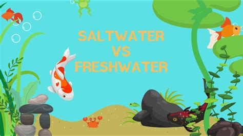 Saltwater Animals Vs Freshwater Animals Youtube